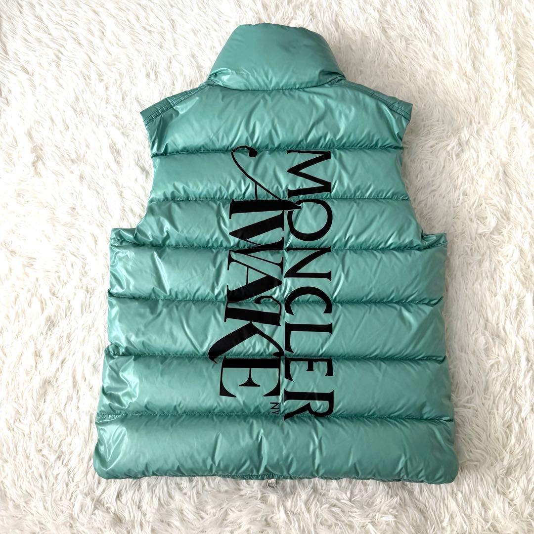 新品 タグ付き モンクレール x AWAKE ダウンベスト GENIUS メンズ