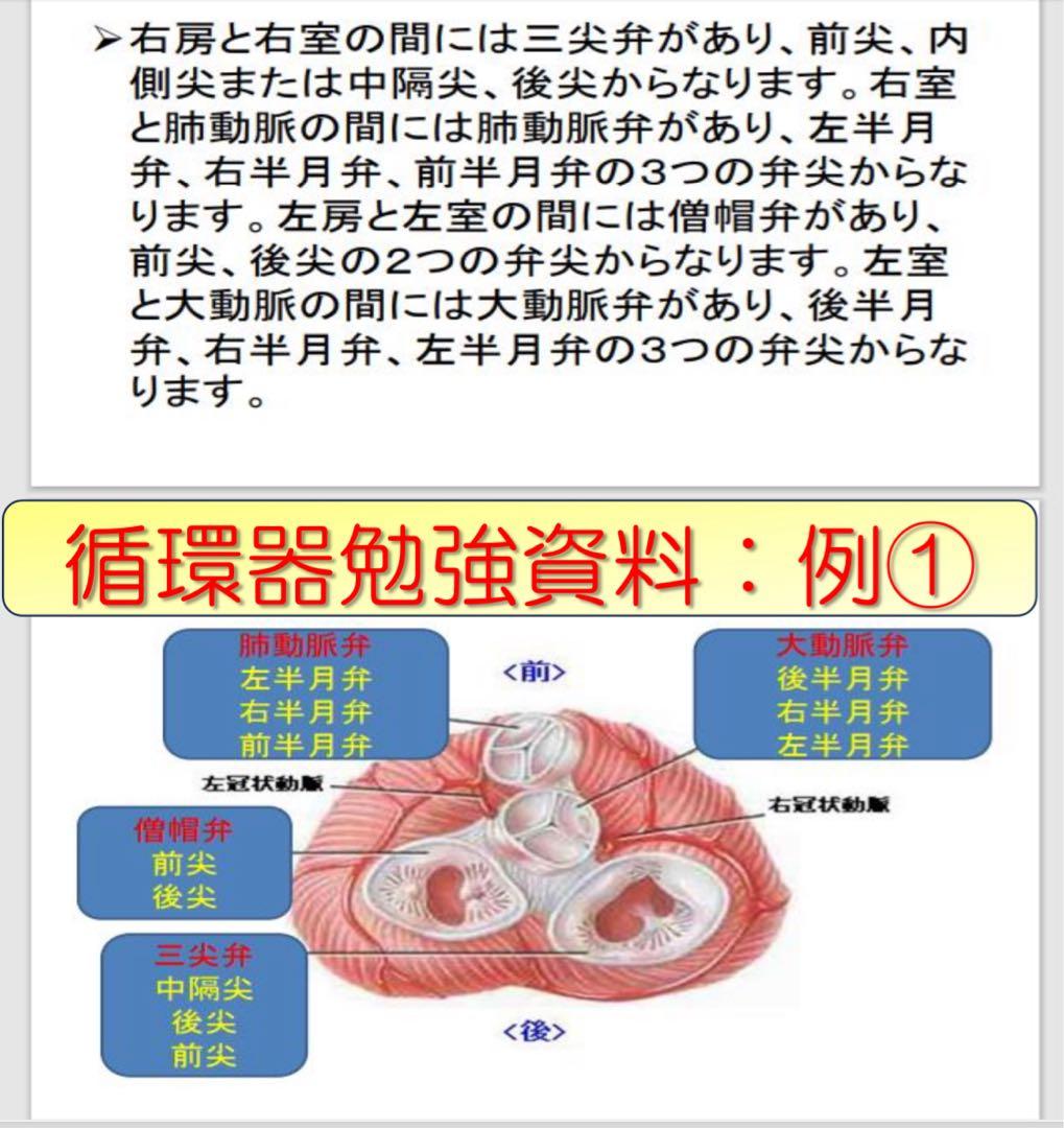 心電図検定対策7点セット