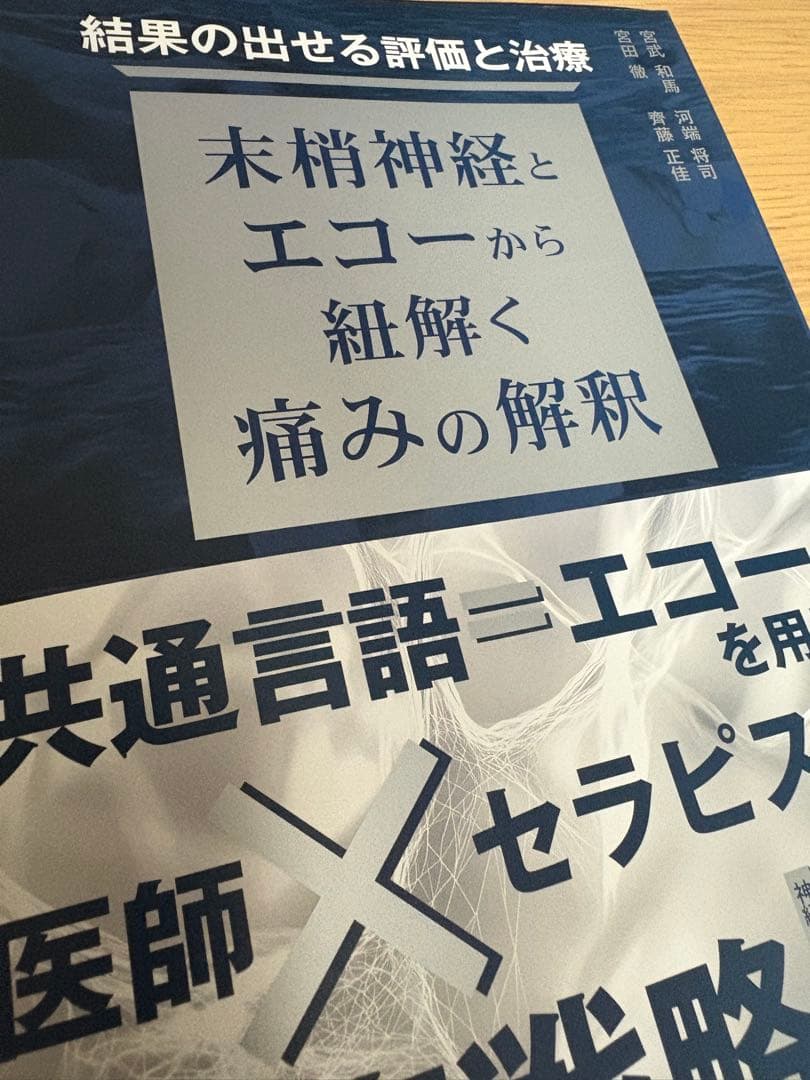 結果の出せる評価と治療　末梢神経とエコーから紐解く痛みの解釈　※裁断済み