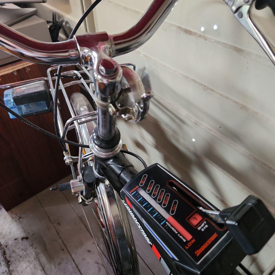 モンテカルロ 自転車 サイドカゴ付き　切り替え変速