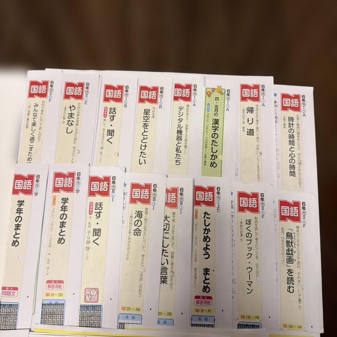 （最新版）カラーテスト　国語　6年　光村　Nぶんけい