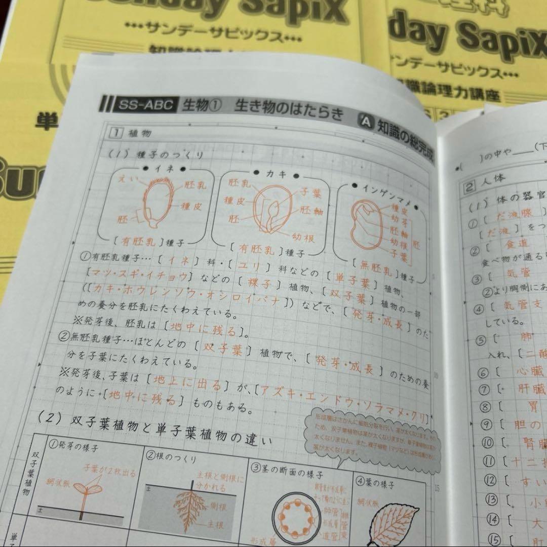 希少❣️㉑あ　理科苦手な方へ　サピックス　Sunday SapiX 理科単科　6年