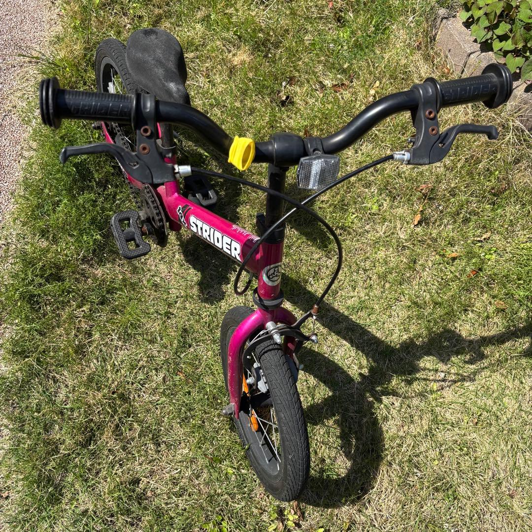自転車本体 Exotic jungle