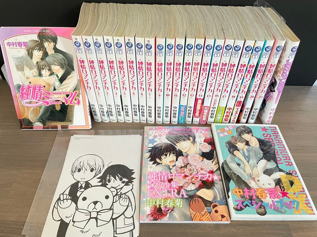 ★期間限定値下げ【匿名配送】純情ロマンチカ 21冊&純情ミニマム ほか 中村春菊