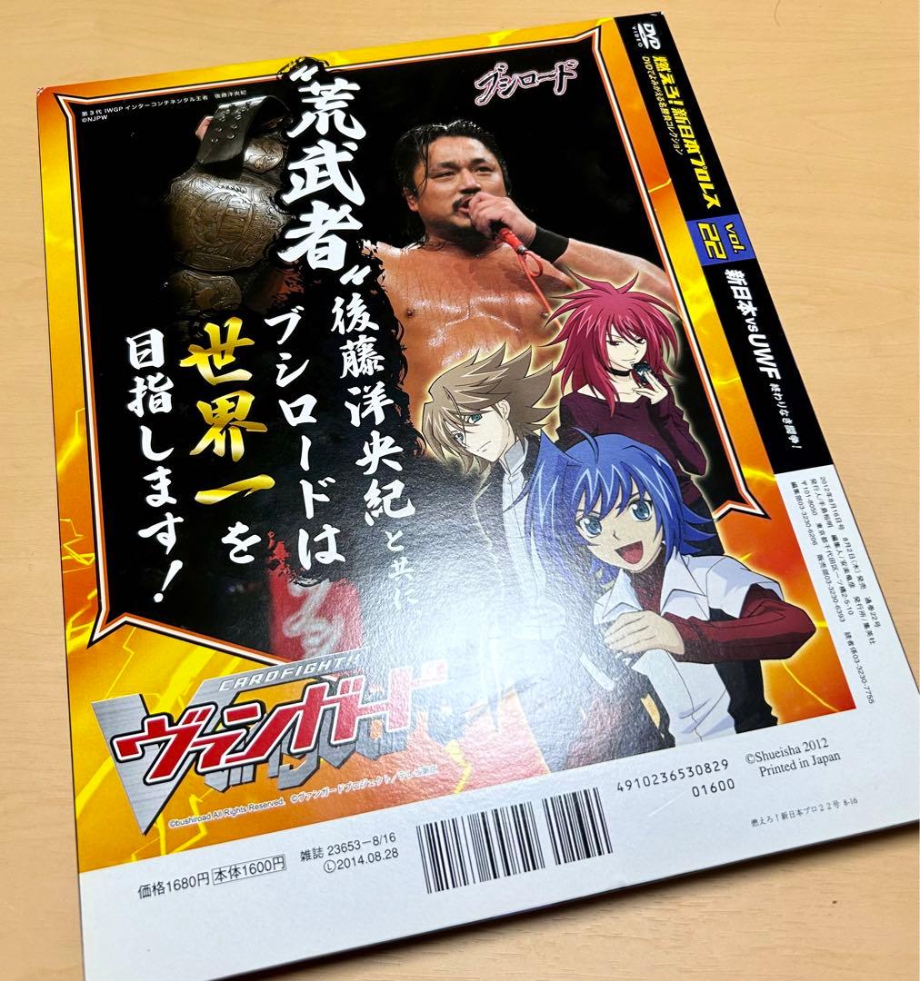 燃えろ！新日本プロレスvol.22 新日本vsUWF終わりなき闘争！前田日明