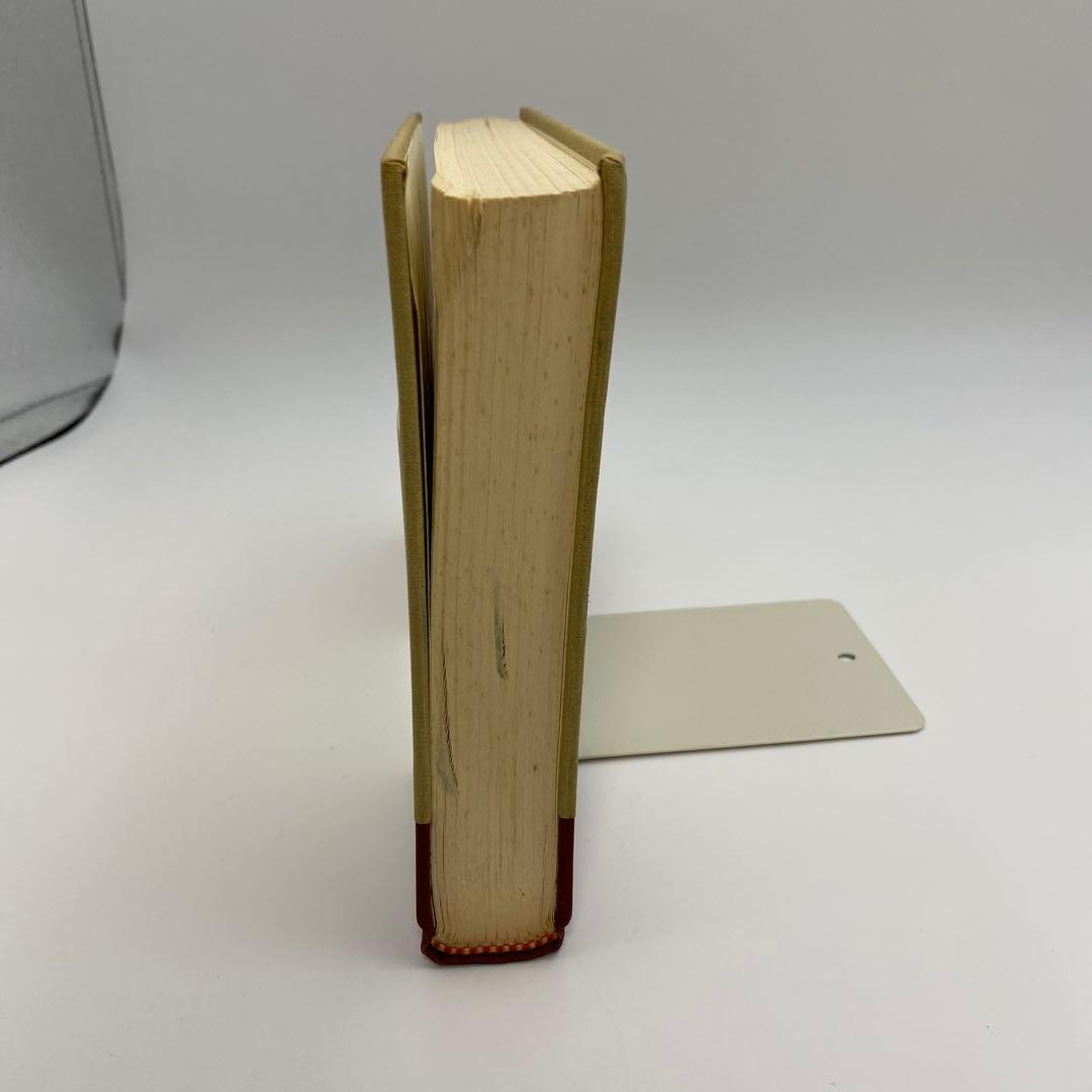 洋書 Critical Essays on James Joyce's Ulysses