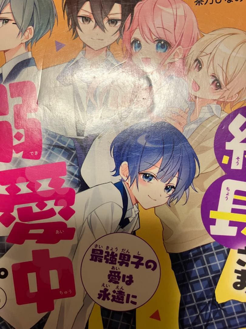総長さまは溺愛中につき　1〜14 吸血鬼と薔薇少女　1〜5 他　4冊　セット