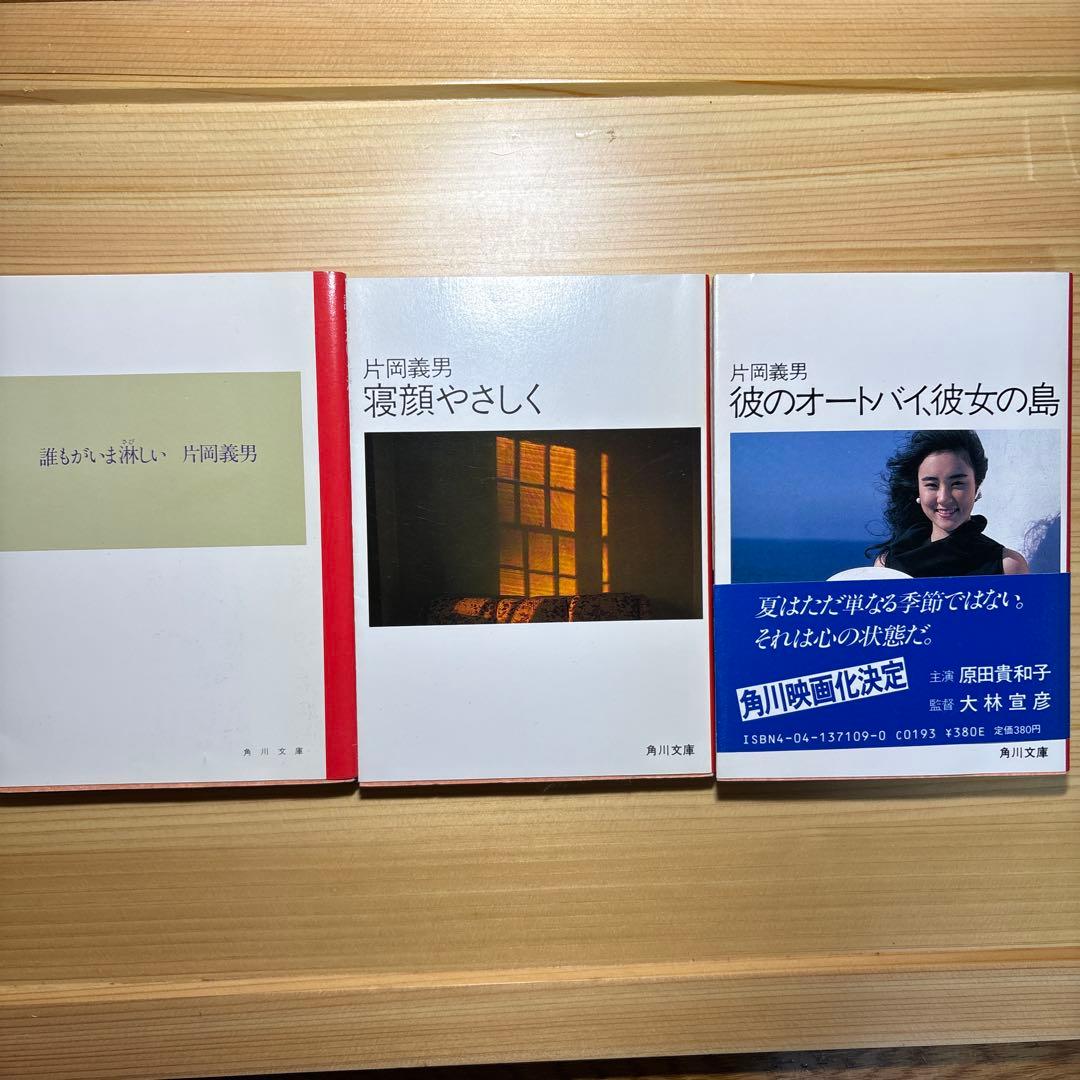 片岡義男 文学作品 10巻セット