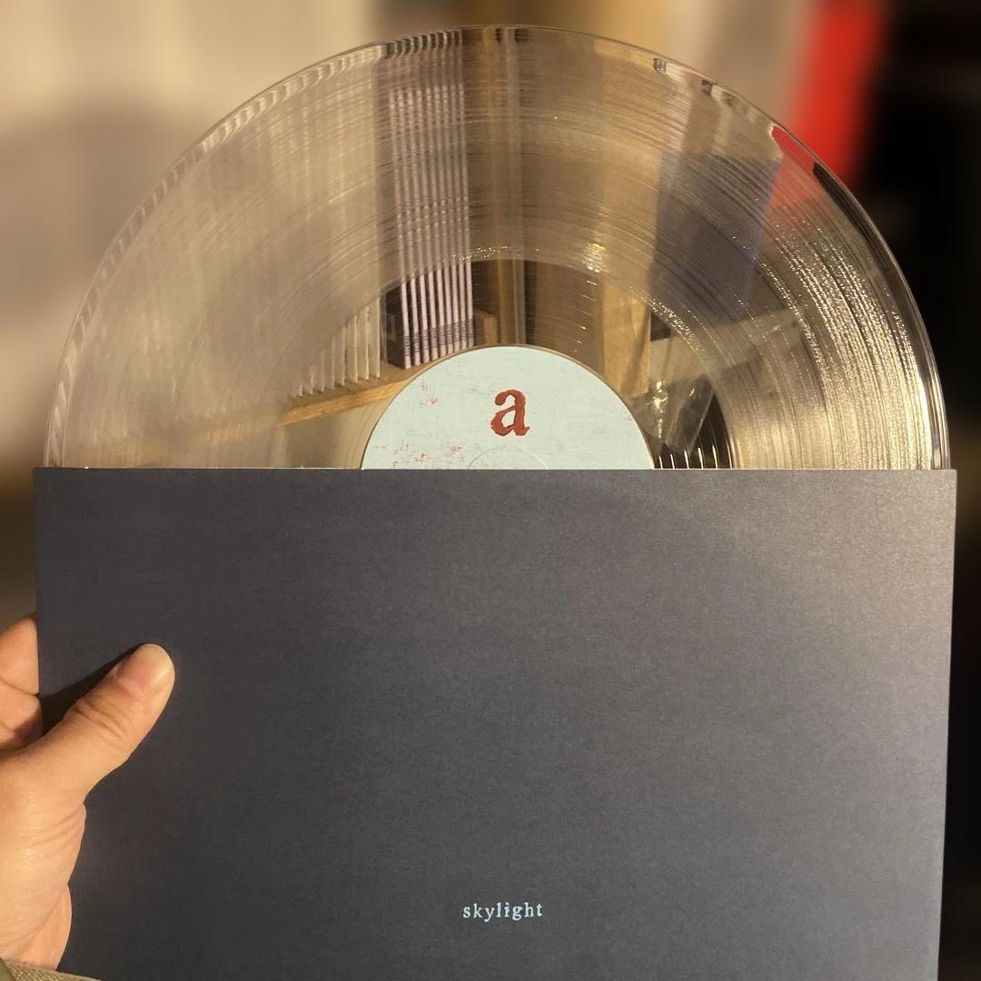 Pinegrove - skylight レコード