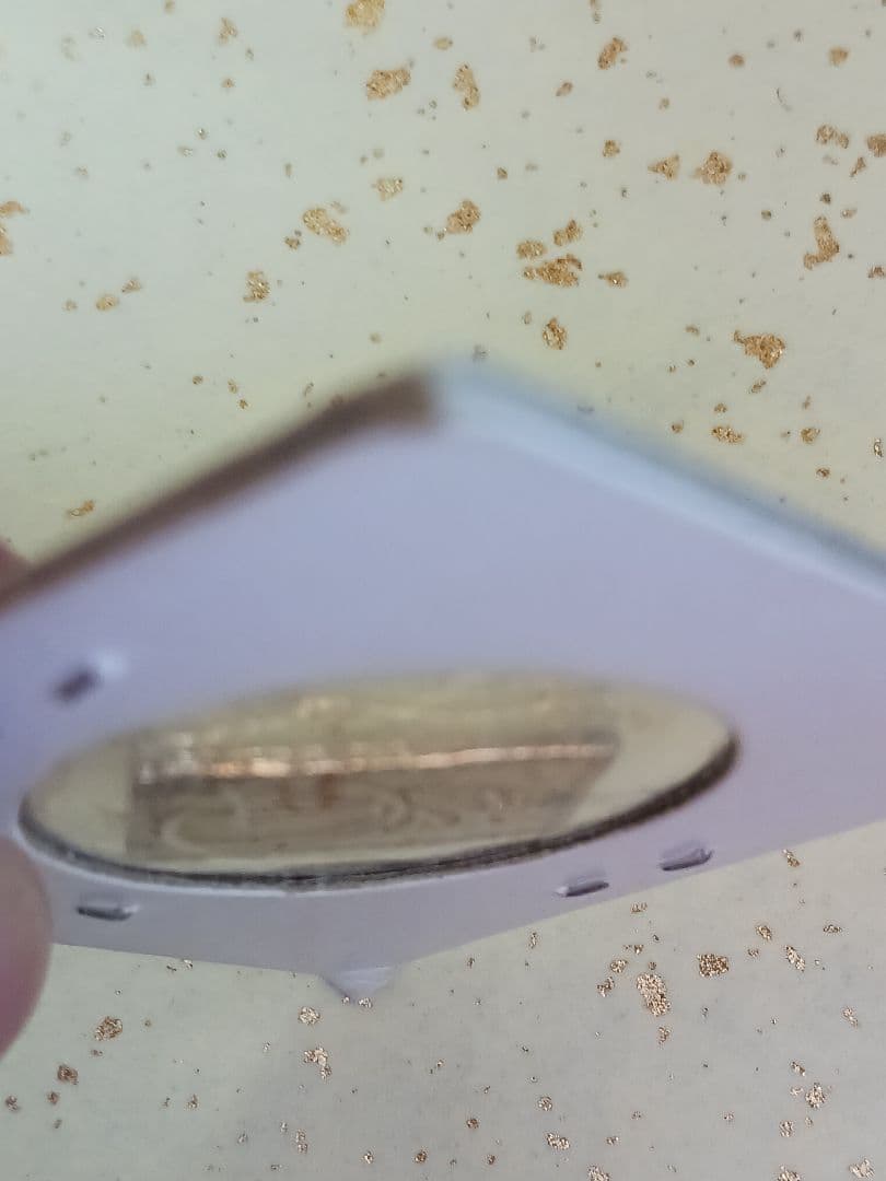 二分金