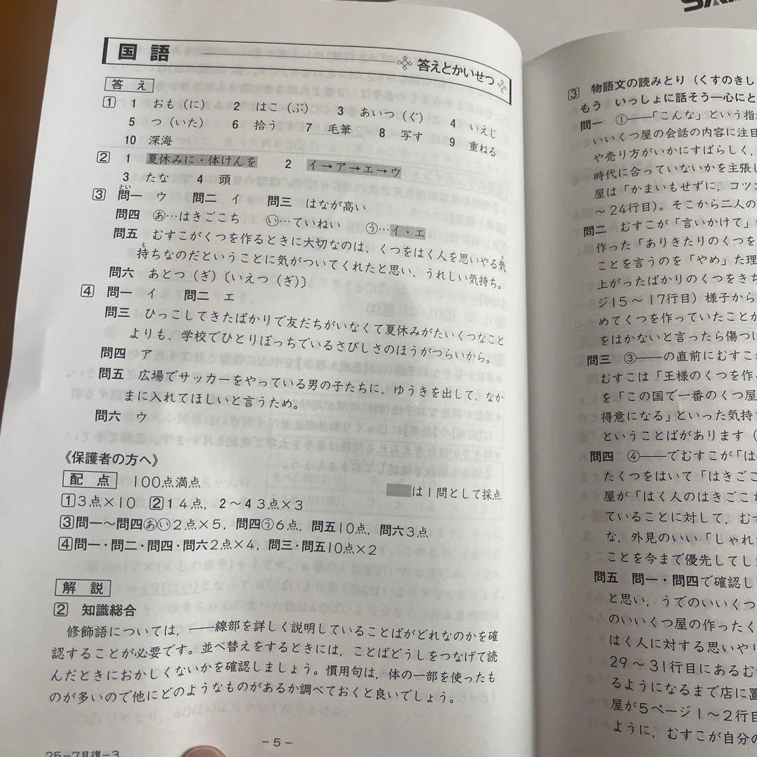 SAPIX7月復習テスト2025年