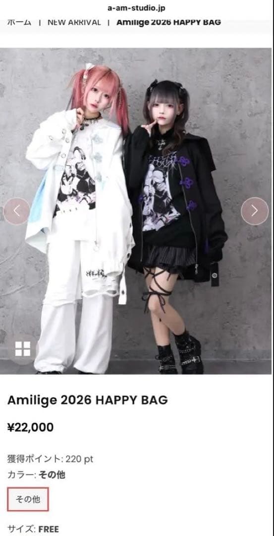 トップス Amilige 2026 HAPPY BAG