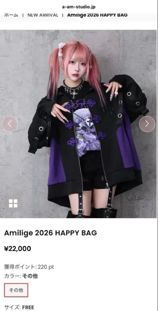 トップス Amilige 2026 HAPPY BAG