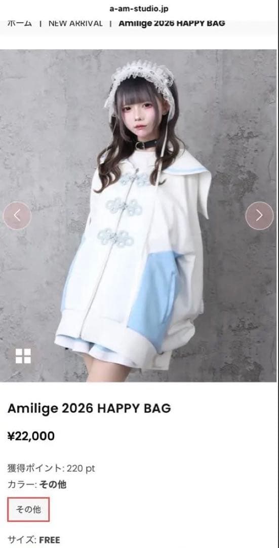 トップス Amilige 2026 HAPPY BAG