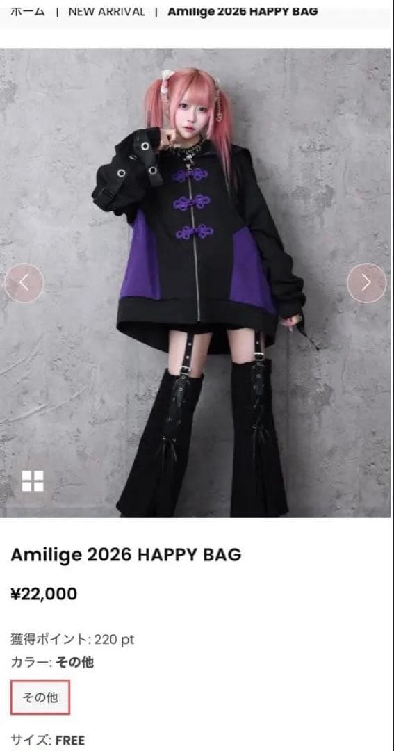 トップス Amilige 2026 HAPPY BAG