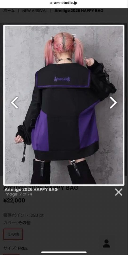 トップス Amilige 2026 HAPPY BAG