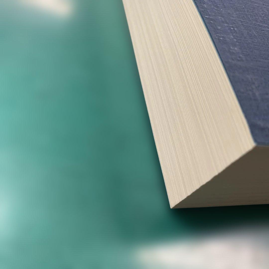 【超美品】参考書　擬律判断の手引