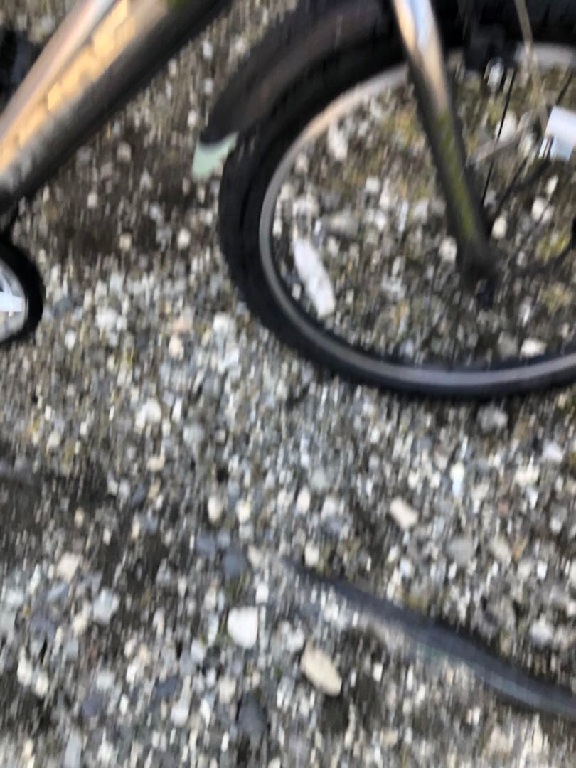 ドライドs3　22インチ　子供自転車 引き取り限定　スピードメーター付き