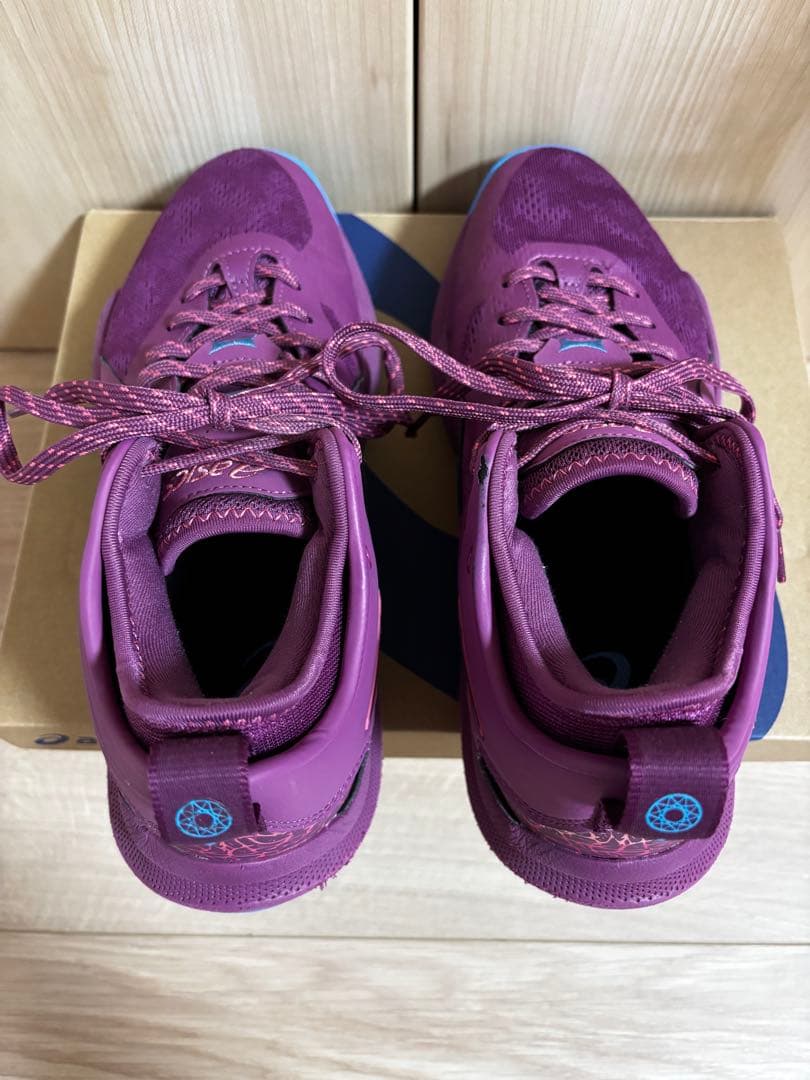 asics ノヴァサージロー2