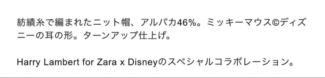 HARRY LAMBERT FOR ZARA X DISNEY ニット帽