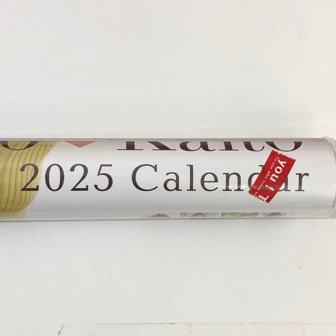 【339】皆藤愛子 2025 壁掛けカレンダー セントフォース かいとうあいこ