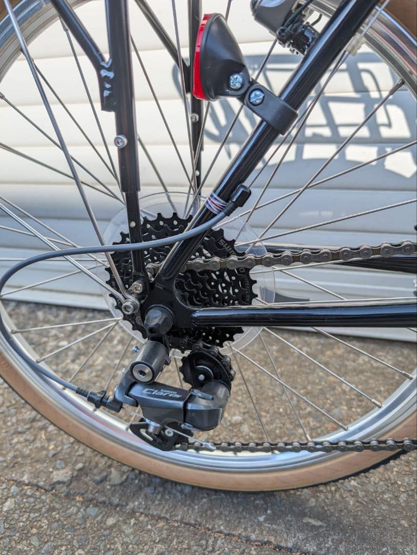クラシックスタイルの20インチRaleigh RSP RSW Special。