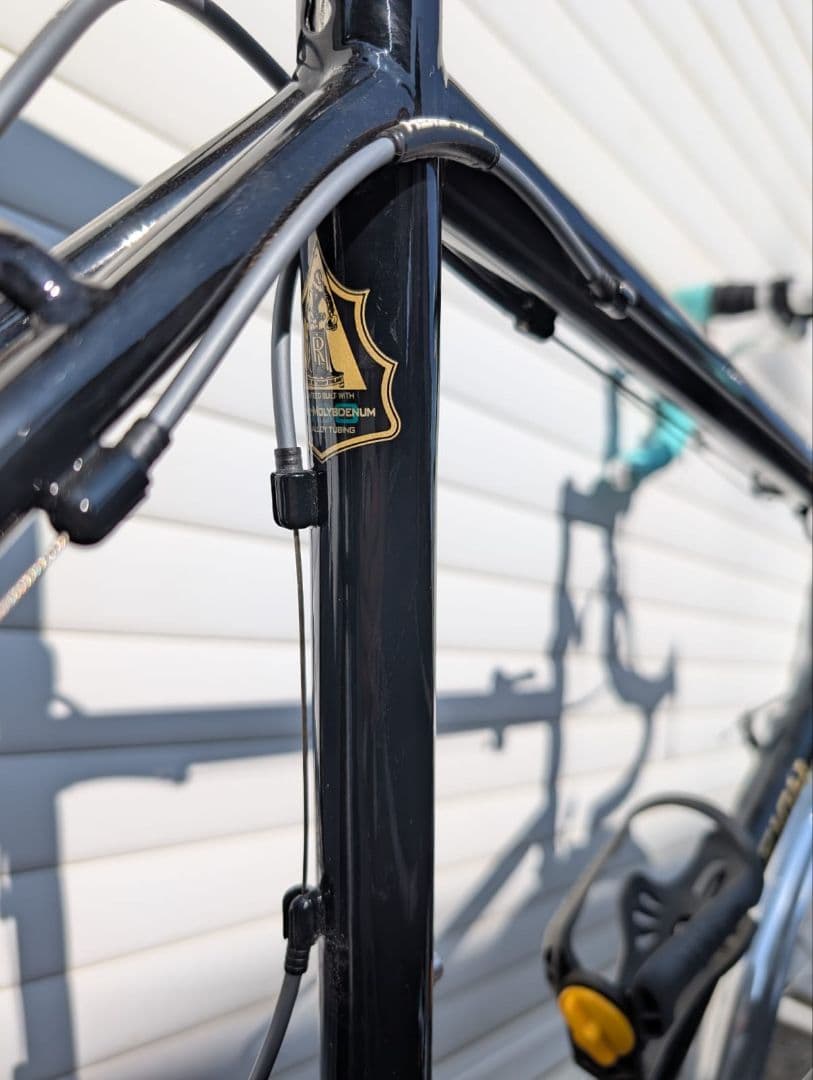 クラシックスタイルの20インチRaleigh RSP RSW Special。
