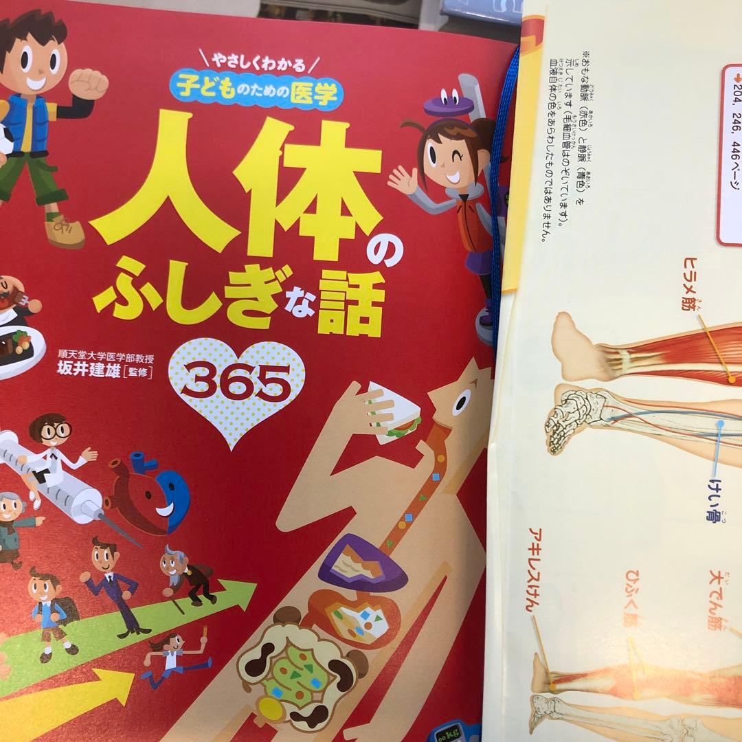 ふしぎな話 たのしい話365 5冊まとめ　算数・英語・人体・スポーツ・考える力