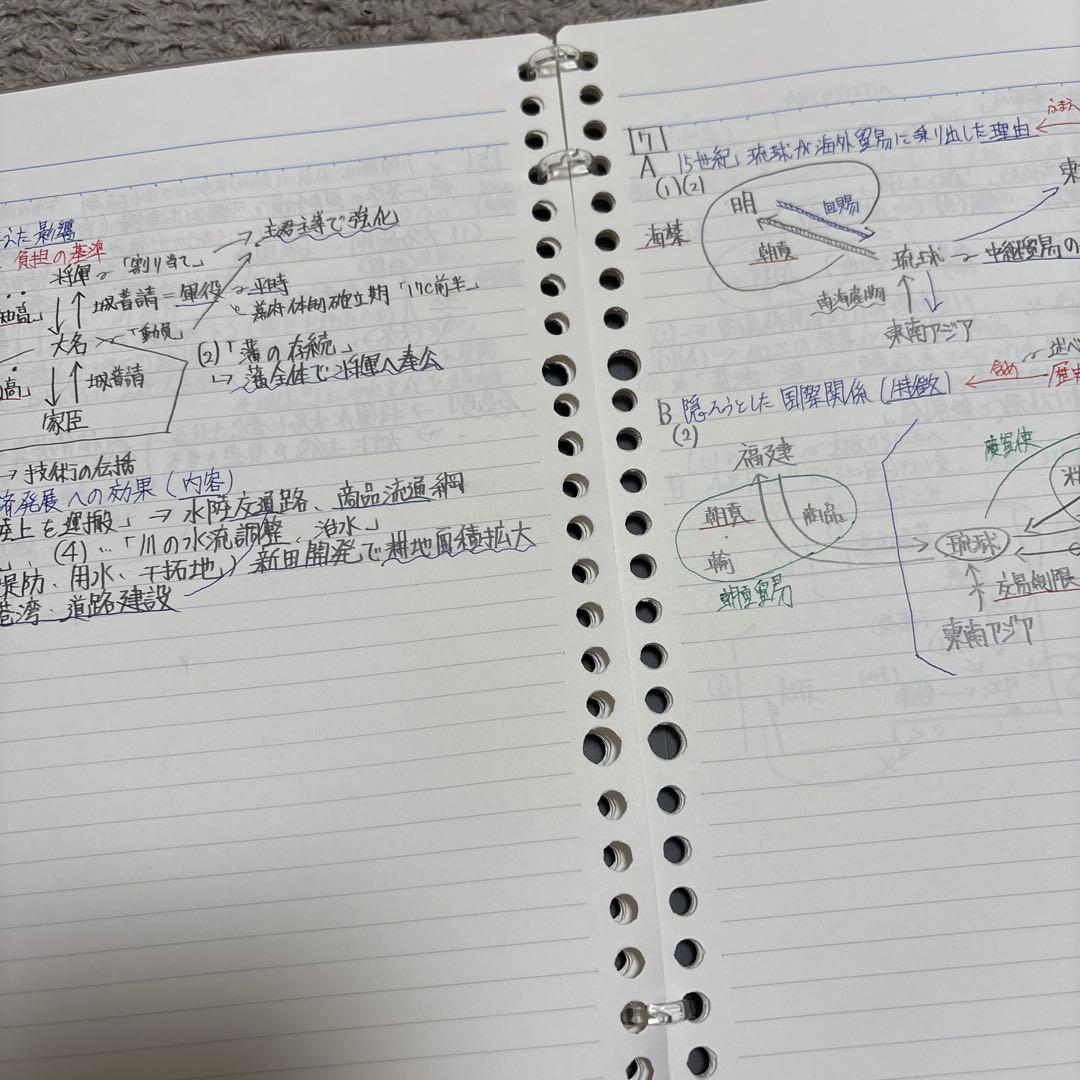 東進東大特進日本史　板書・テストゼミ・解答解説付き