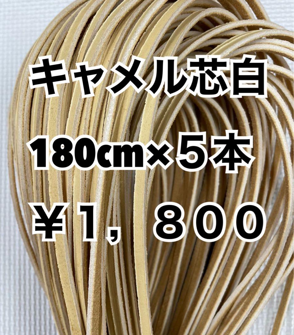 キャメル芯白100本セット、キャメル芯白10、黒10