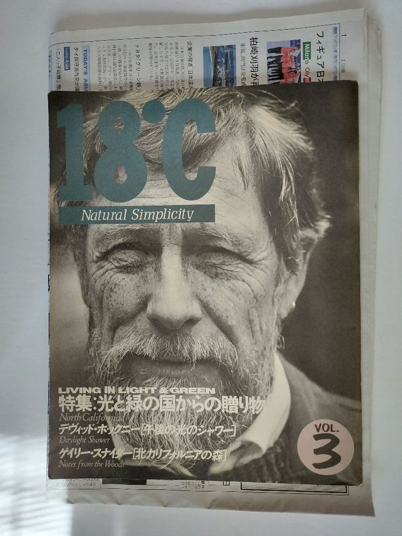 18℃ vol.3 1988.9 デヴィット・ホックニー 36年前