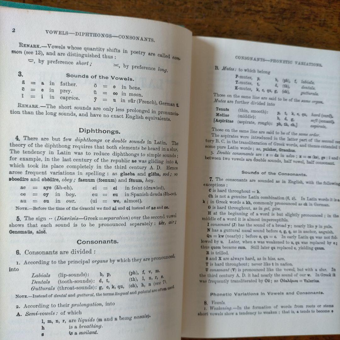 Gildersleev’s Latin Grammar 3rd Edition
