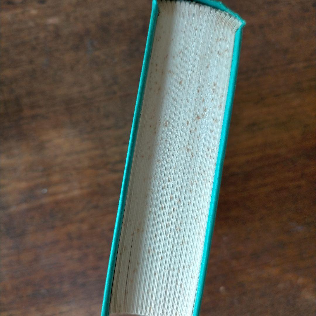 Gildersleev’s Latin Grammar 3rd Edition