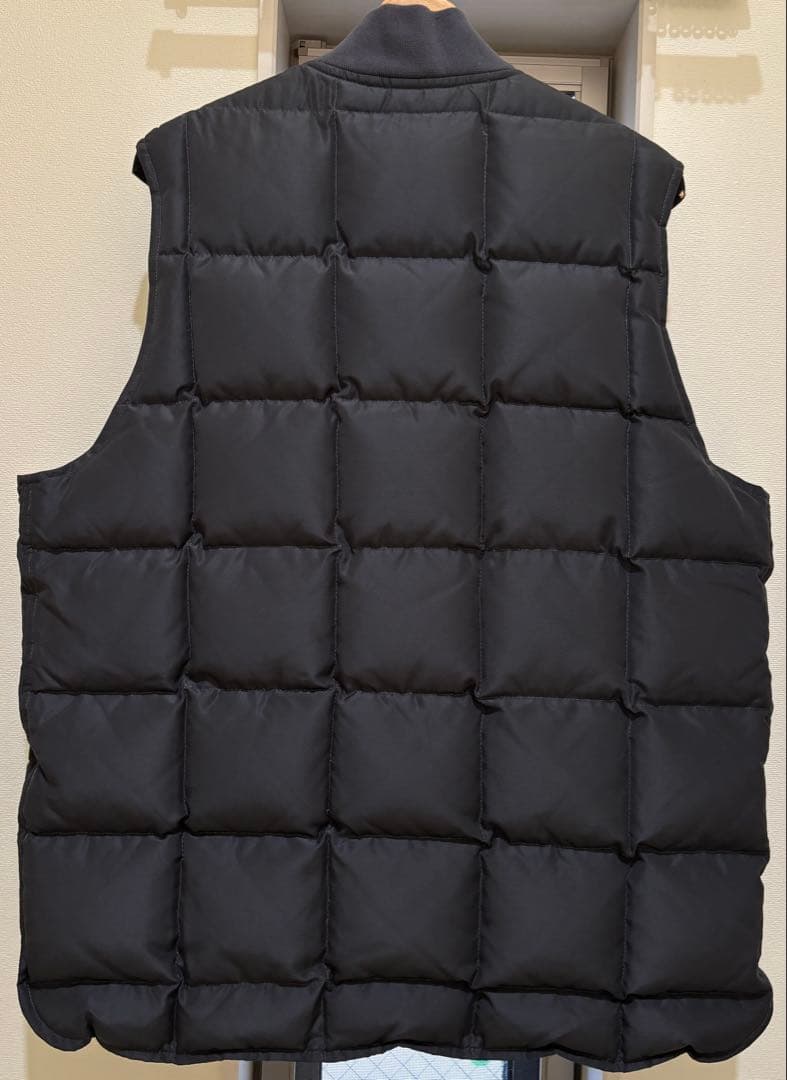 Eddie Bauer BIOTOP Downlight Vest ベスト