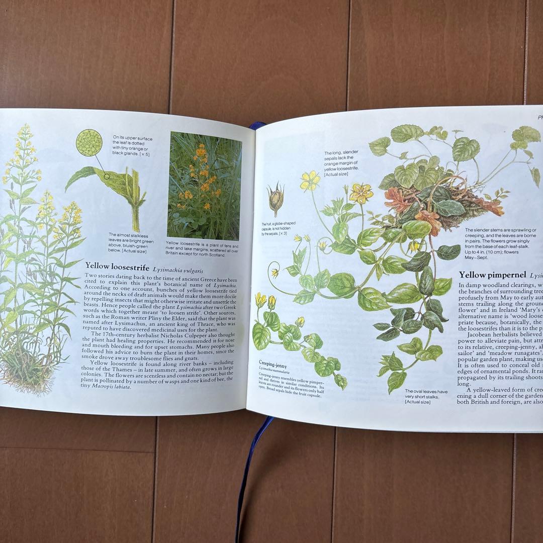 イギリス　植物図鑑　洋書