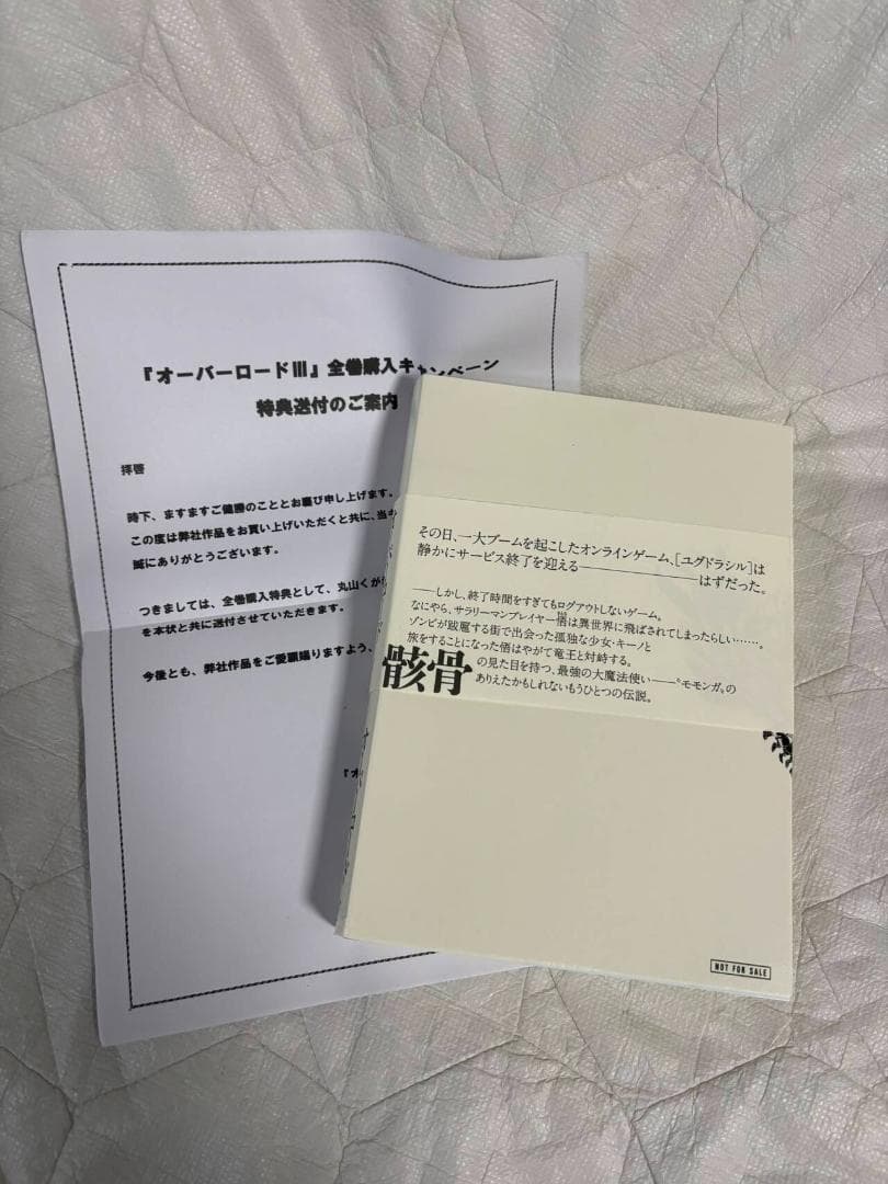 オーバーロード 絶対支配者の黒い翼 特典付き