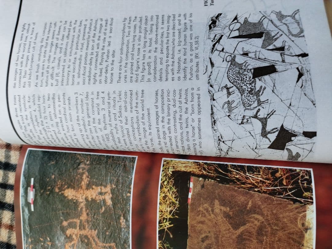 PETROGLYPHS OF CENTRAL ASIA （中央アジアの岩絵）