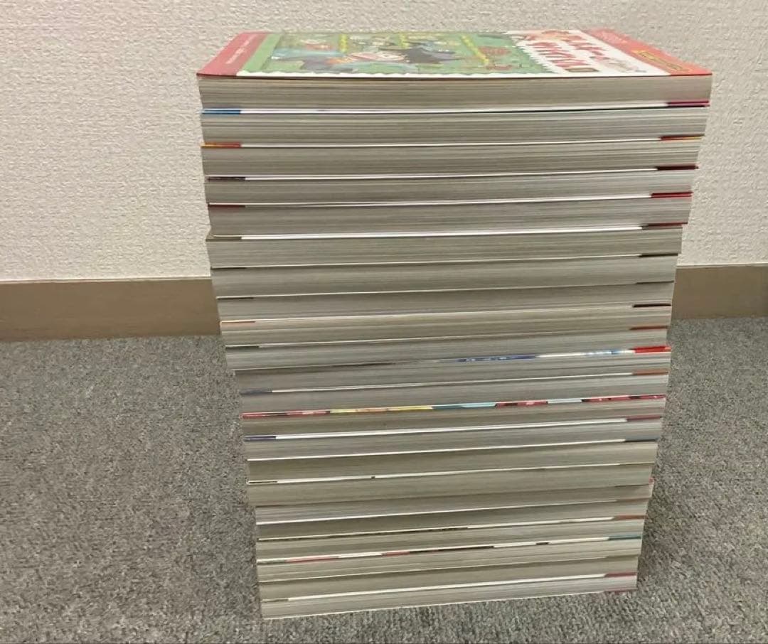 ちい　サバイバルシリーズ23巻セット