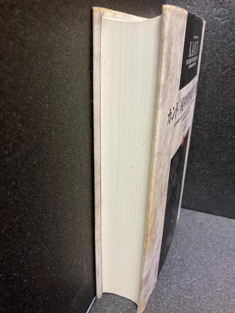 カント『純粋理性批判』註解 (上巻)