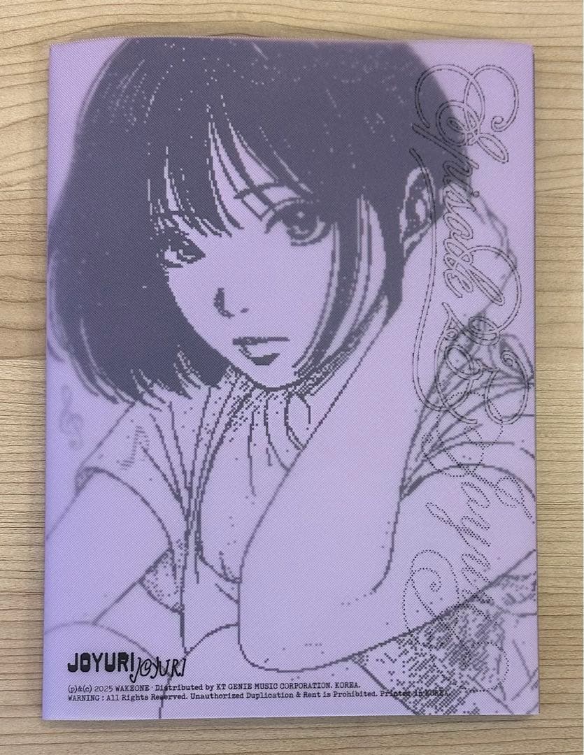 チョユリ JO YURI アルバム ヨントン トレカ 全種類