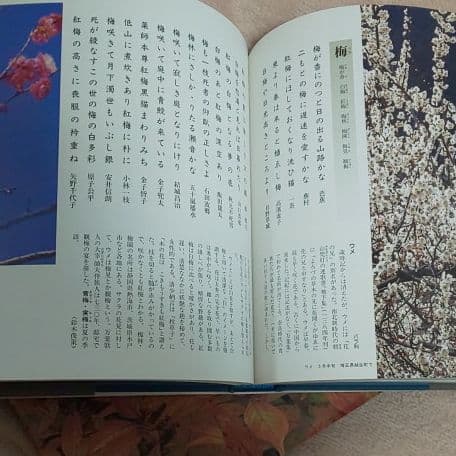 俳句草木花歳時記 春夏秋冬
