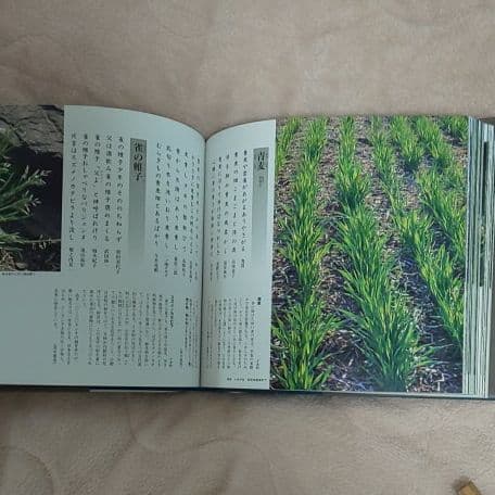 俳句草木花歳時記 春夏秋冬