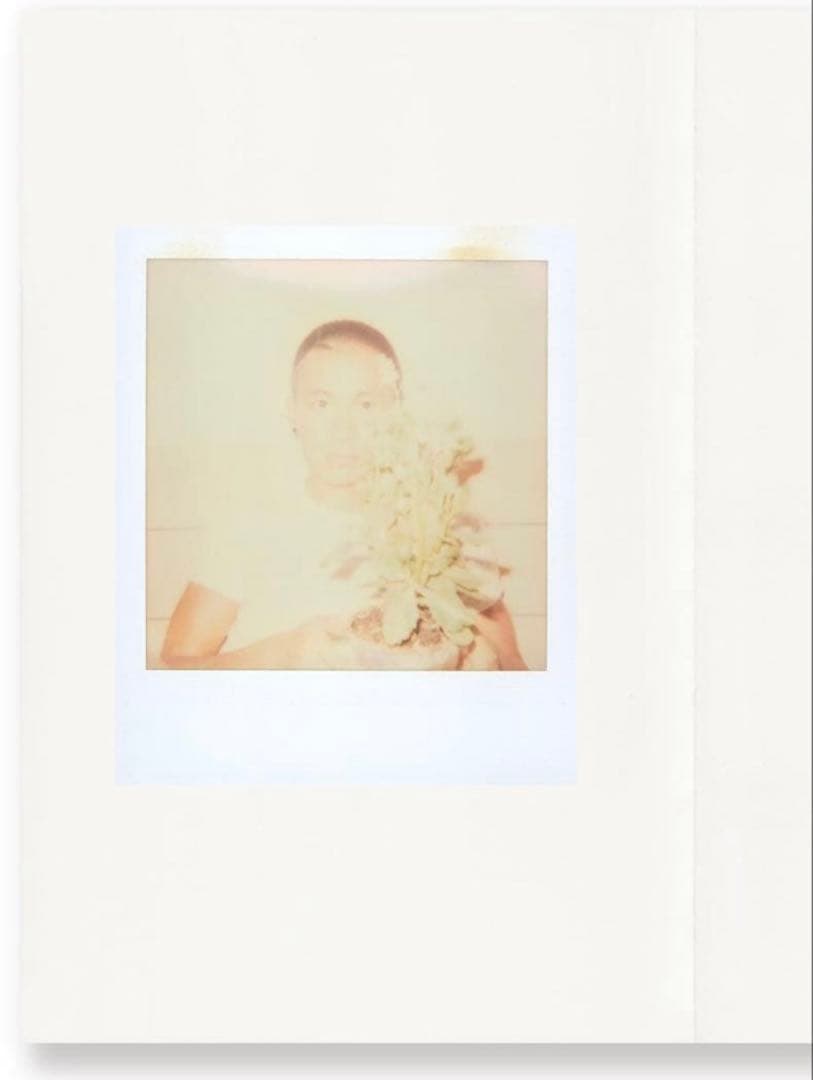 絶版‼️ 123 Polaroids No.223 Lin Zhipeng