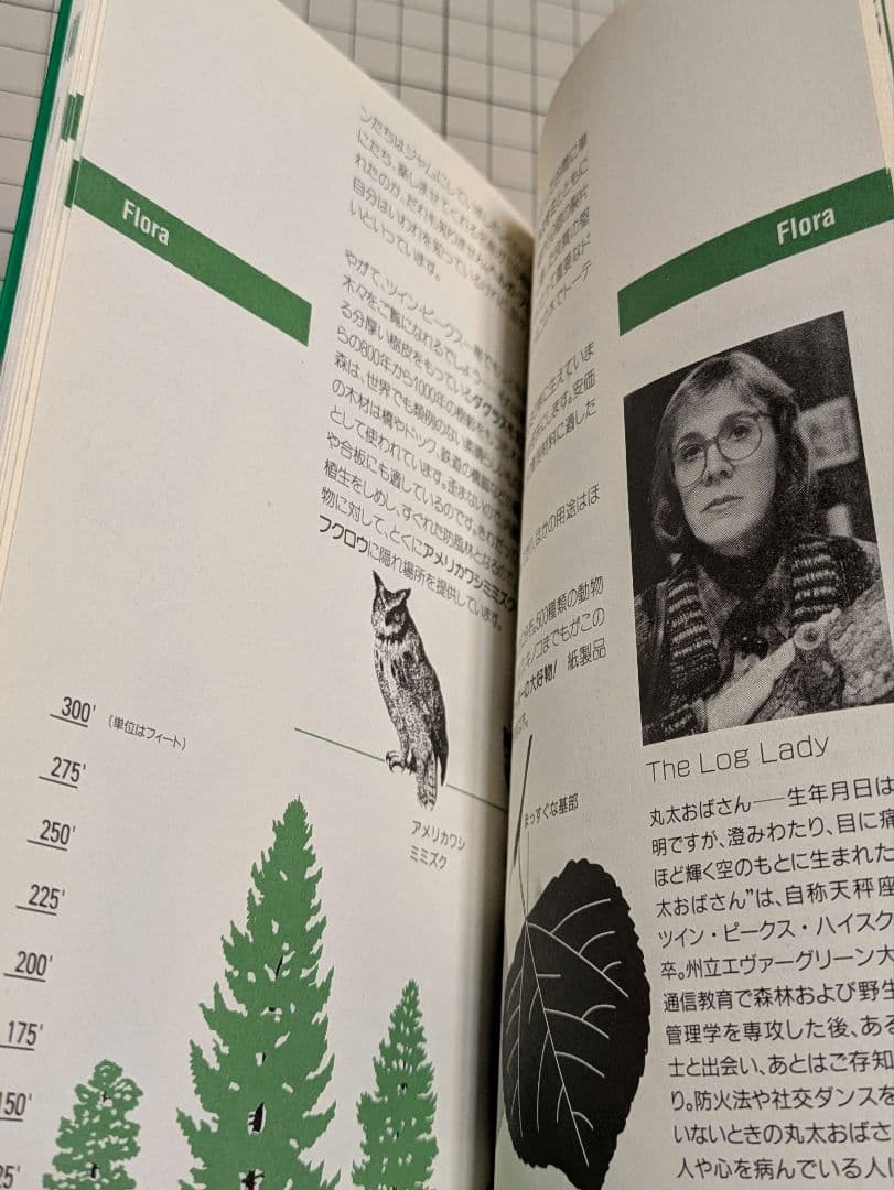 ウェルカム・トゥ・ツインピークス　ツイン・ピークスの歩き方　デヴィッド・リンチ