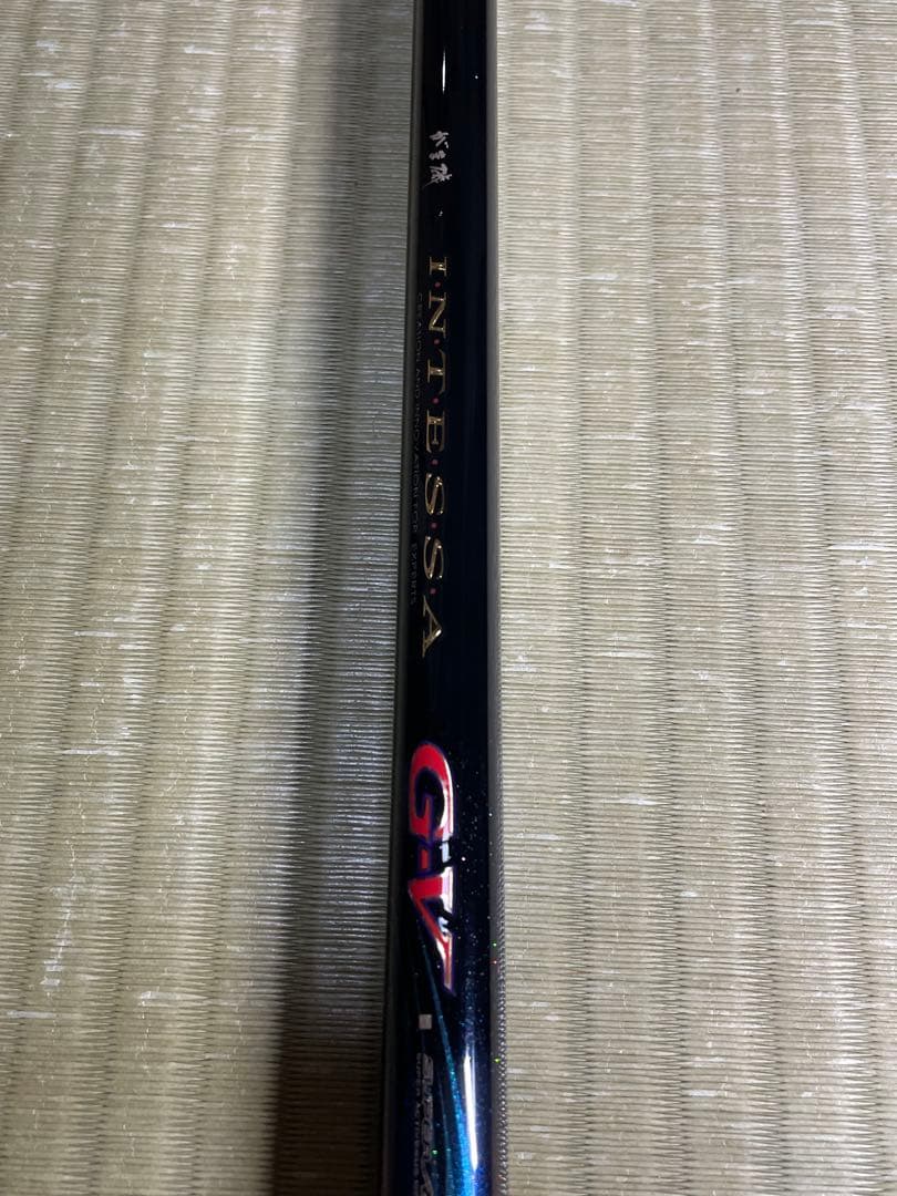 磯竿ＩＮＴEＳSＡ