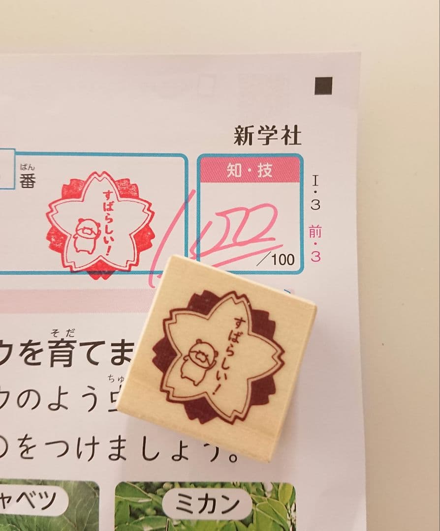 【akiiiiページ♡はんこ ゴム印 マスはんこ 先生スタンプ 小学生】