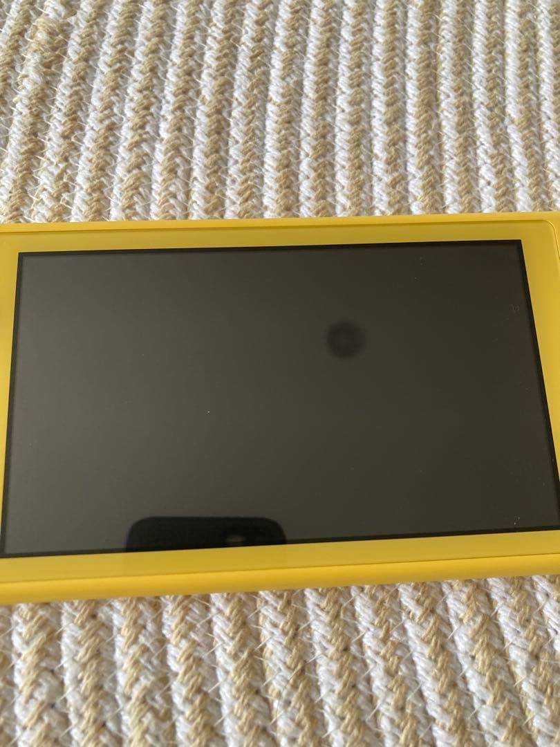 【動作確済】ニンテンドースイッチ　ライト　Switch モンハン　ライズ　セット