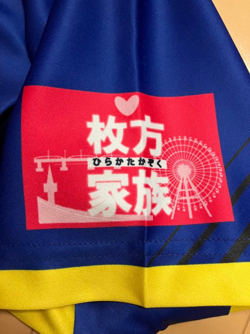 パナソニックパンサーズ　大阪ブルテオン　ユニフォーム　バレーボール　SVリーグ