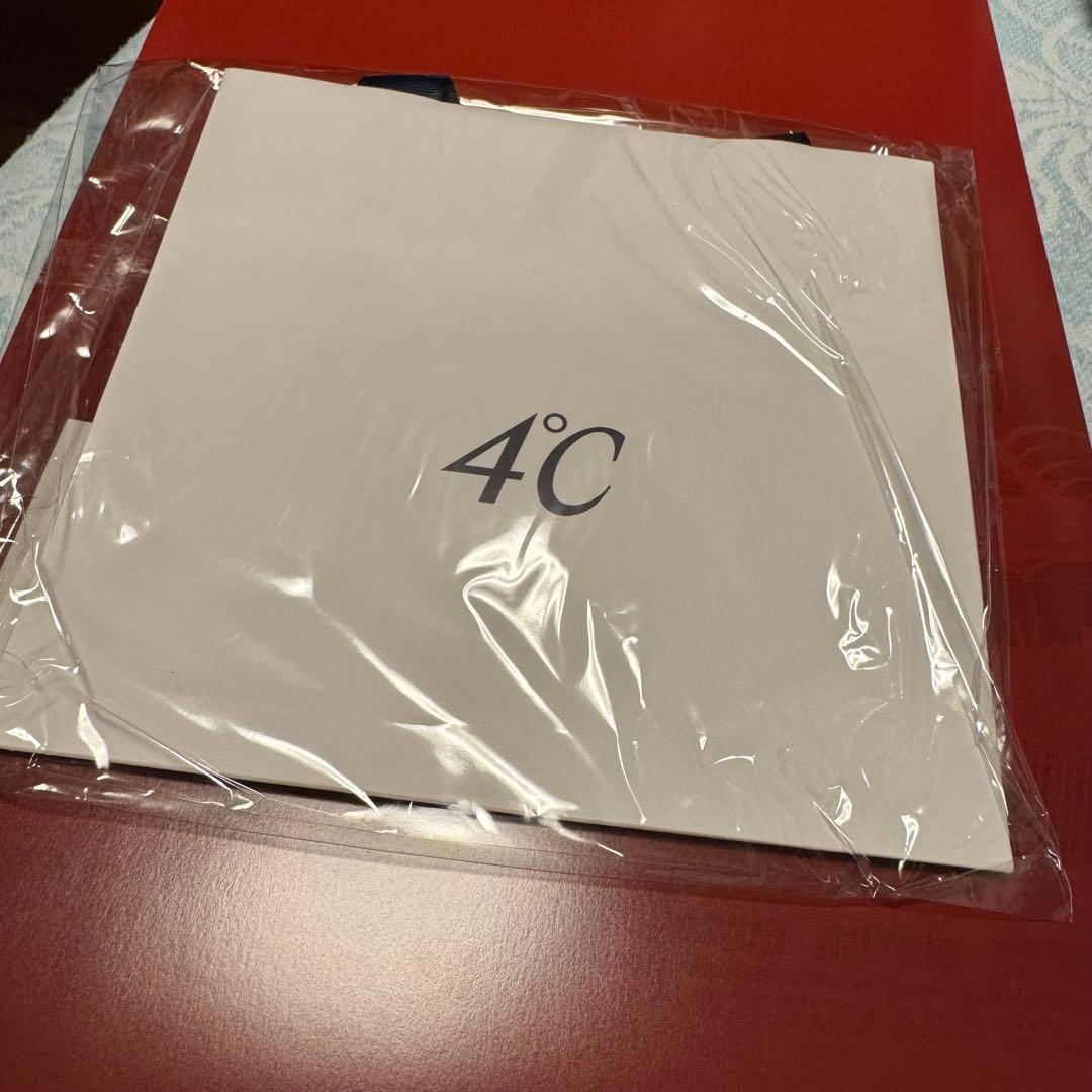 Kashima Antlers × 4℃ バングル（シルバー）　ブレスレット