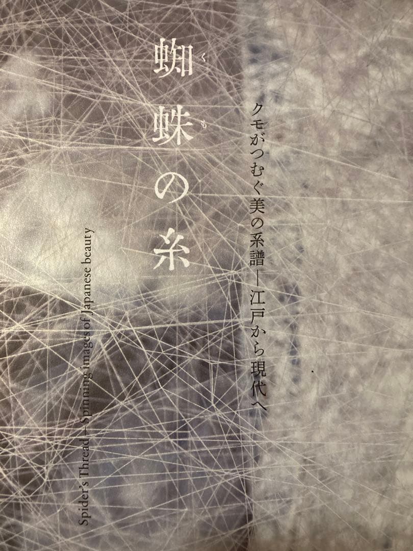 蜘蛛の糸 - アート・デザイン・音楽展覧会カタログ　豊田市美術館